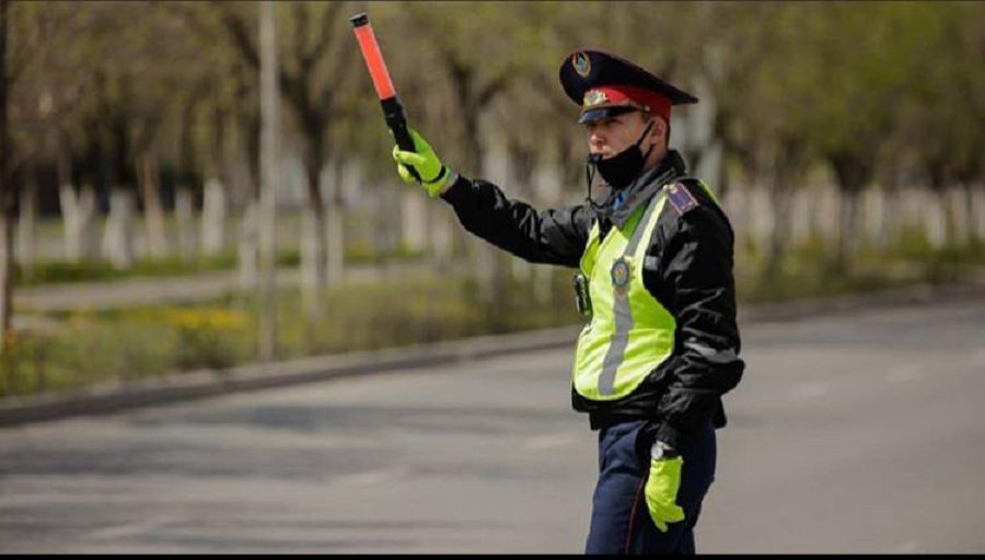 Адам құтқарған Алан