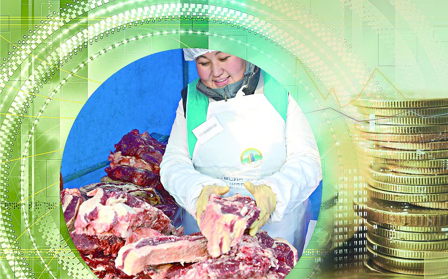 Ауылшаруашылық кооперативтері (Ет бағытындағы бірлестіктер неліктен тығырыққа тірелді?)