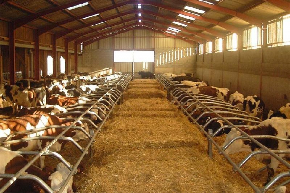 Бордақылаудың әдісі бөлек