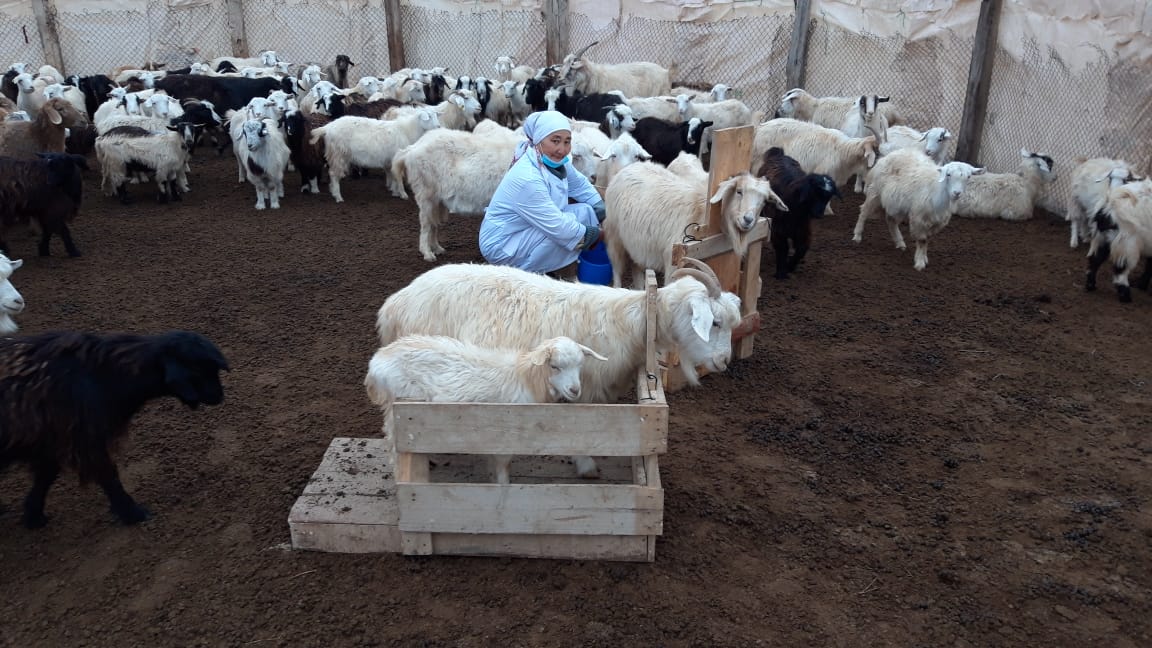 Ауылдастарының алғысын алған