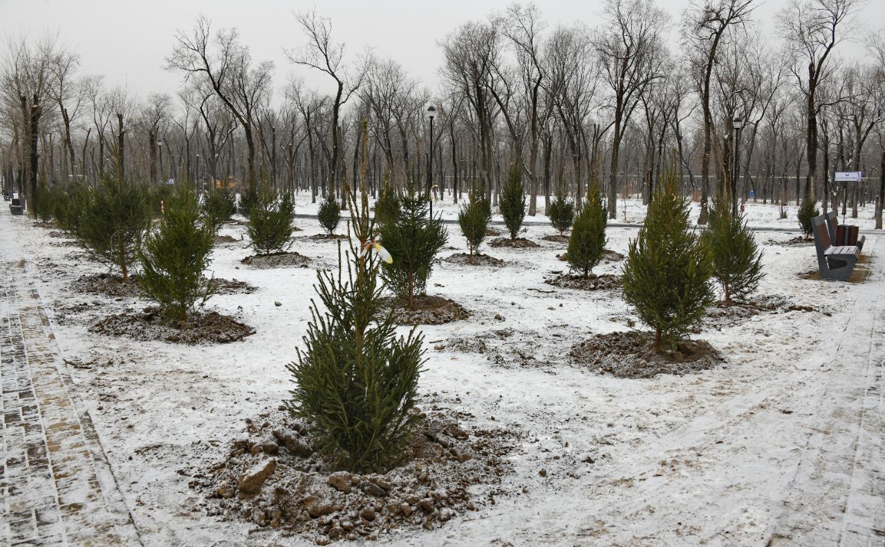 Алматыдағы «Желтоқсан» саябағы 100 көшетті саялатты