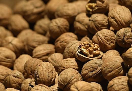 Түлкібас ауданында 900 тоннаға жуық жаңғақ жиналды