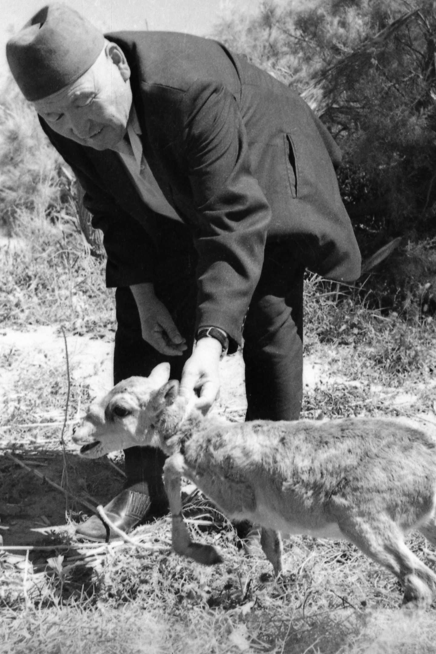 «Қырғи тілді Асқар» мен құралай