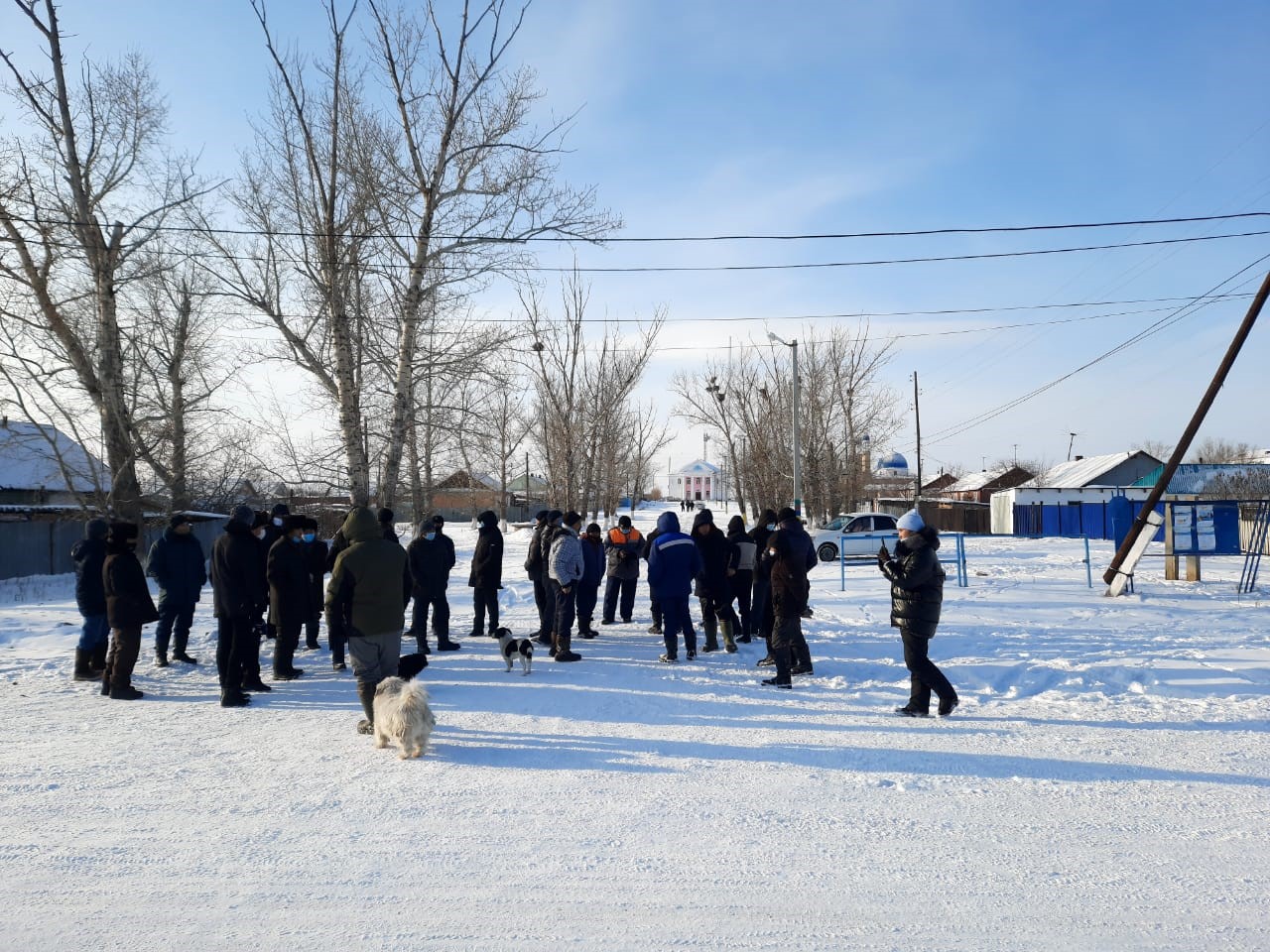 Айыртаулықтар да шошқа фермасын салуға қарсы