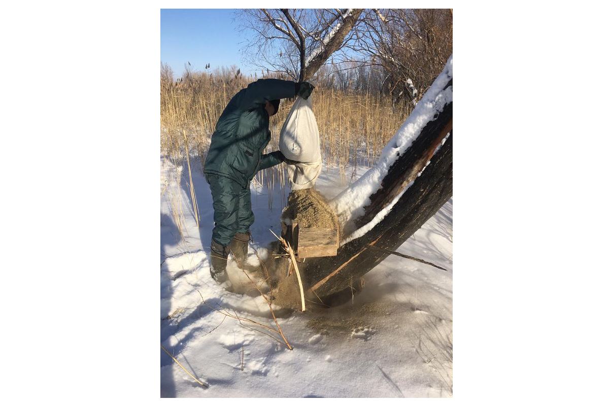 Жануарларға жасалған жанашырлық