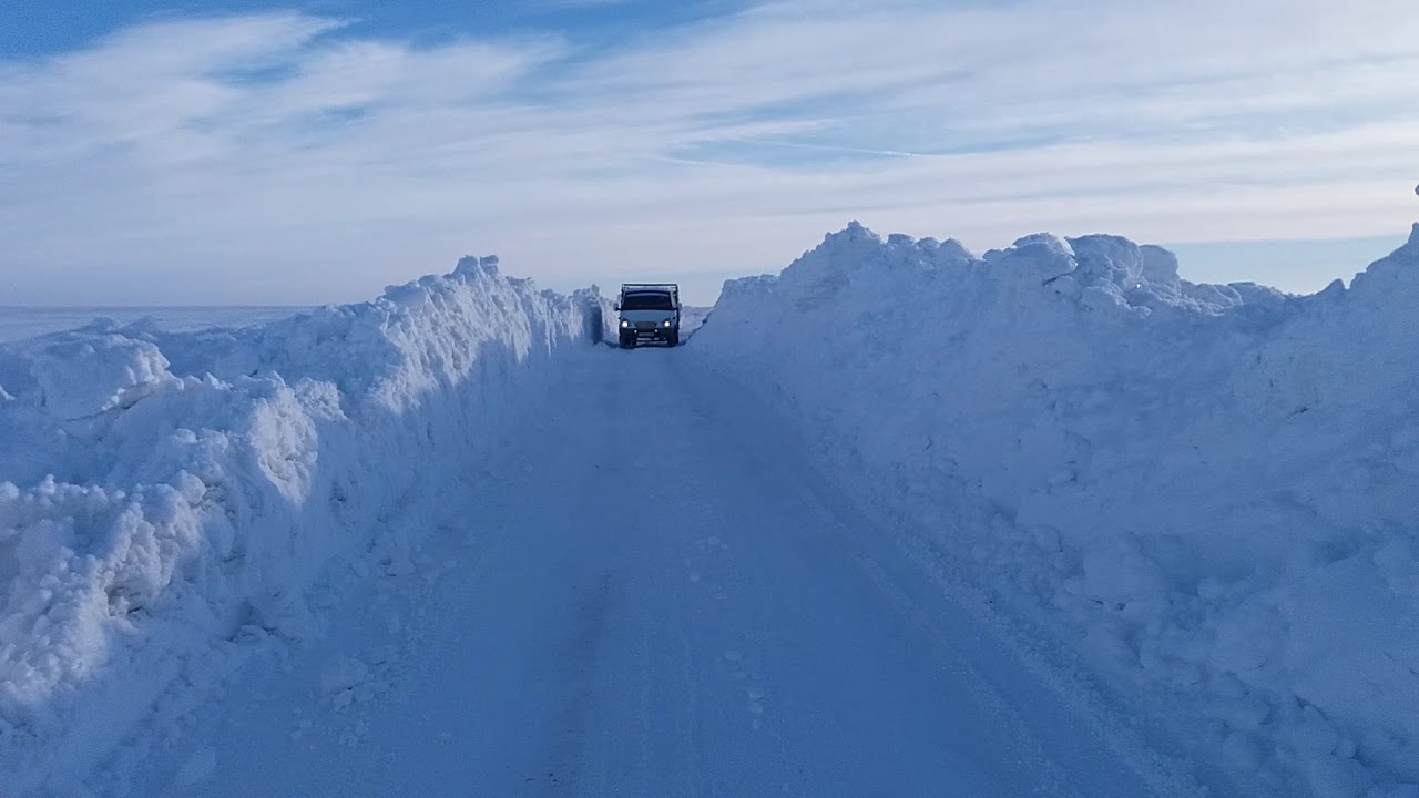Түркістан облысында 5 адам қар құрсауынан құтқарылған
