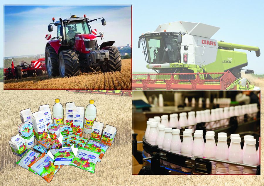 Барлық салада өсім бар