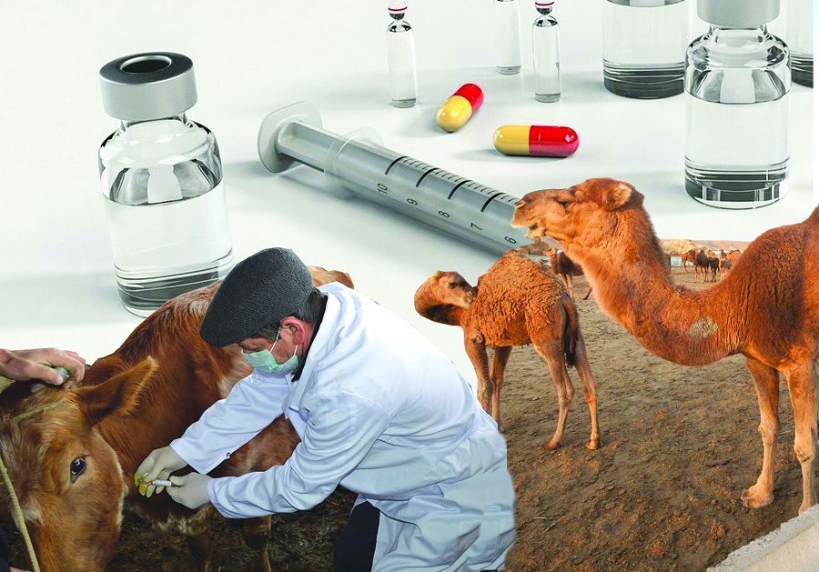 Мал дәрігерінің қадіріне қашан жетеміз?