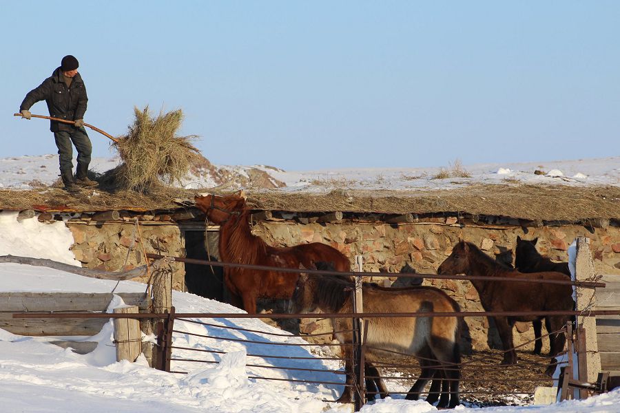 Ахуалың қалай, ауылдағы ағайын?