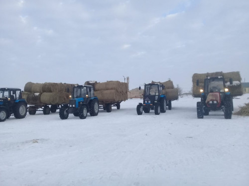 Жаңақала жігіттерінің жақсы ісі