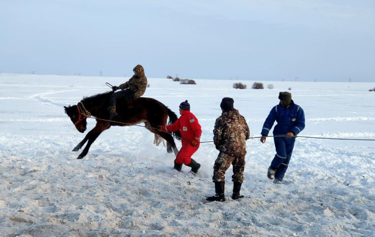 Жүйрік ат, ұшқыр тазы, шымыр жігіт