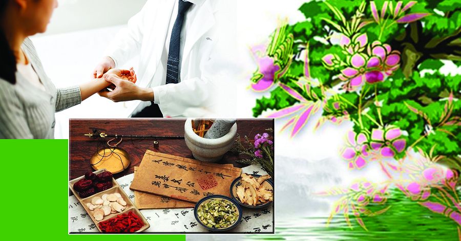 Ежелгі емшілік ілімін игерген