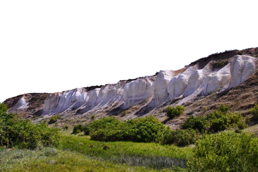 Тоқсанның төріндегі Төртүй