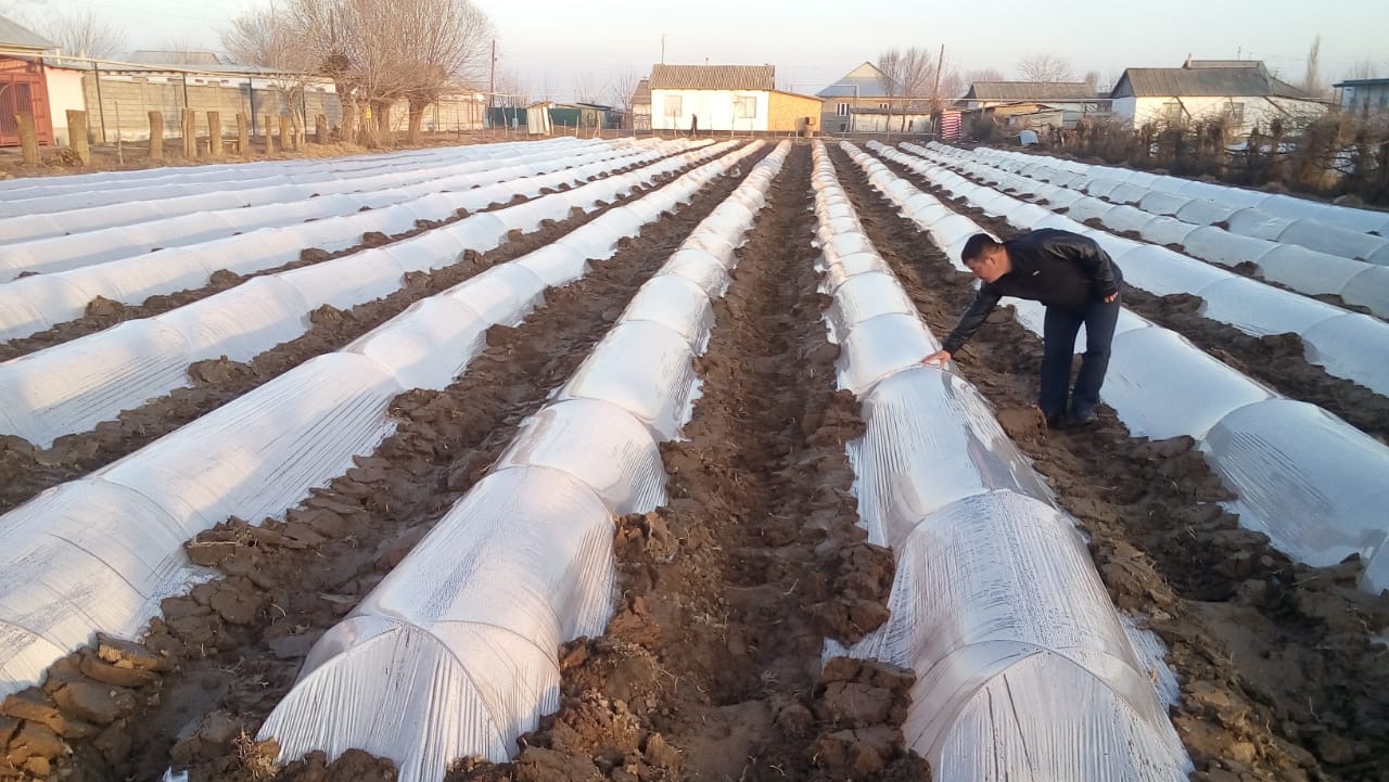 Мақтааралдық диқандар қызылша егуде