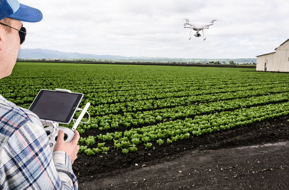 ЕАЭО технологиялық ауыл шаруашылығын дамытуға ниетті