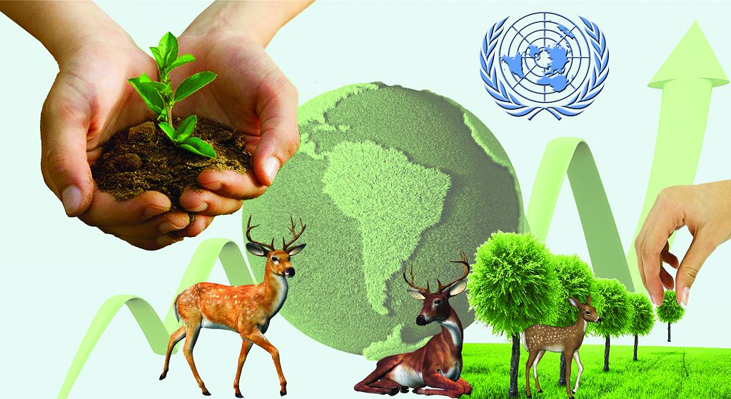 БҰҰ назарында – қоршаған ортаға қамқорлық