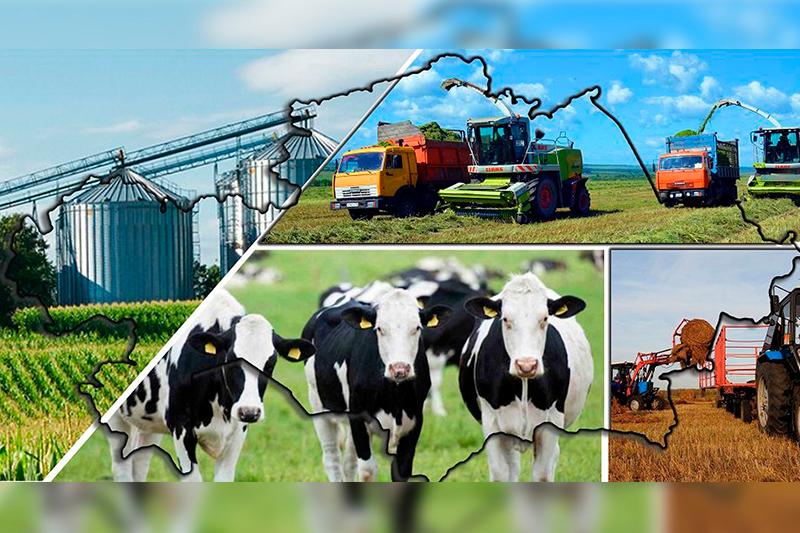 Ақтөбе облысында ауыл шаруашылығы қарқынды дамып келеді