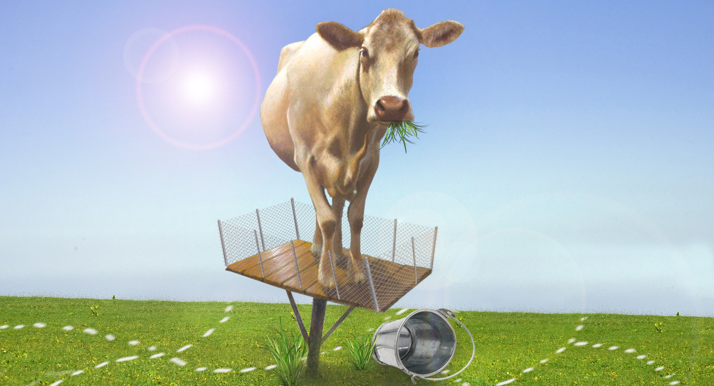 Өрісі тарылған жайылым – ауыл шаруашылығына қолбайлау