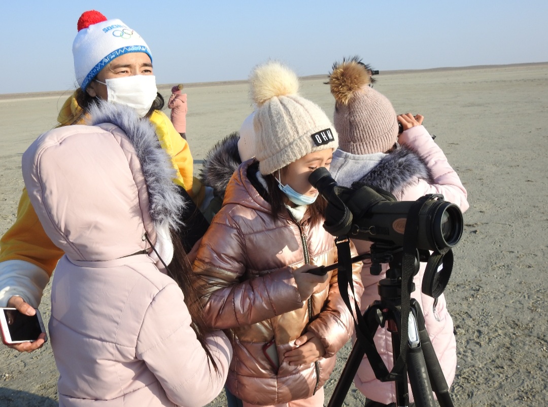 Құс санағы: Қоқиқаздар қайда кетті?