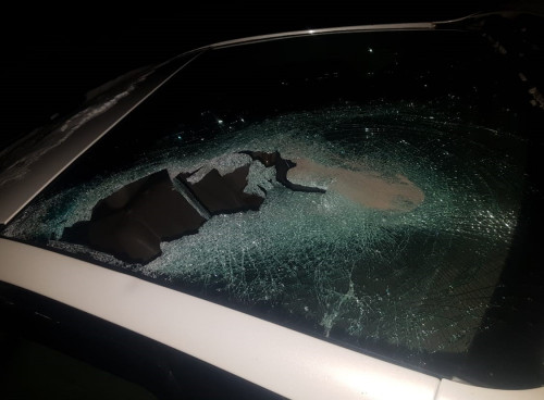 Мал бағу ережесін сақтамаудың салдары