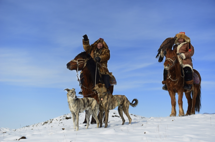 Бір қызық қансонарда түлкі аулаған...