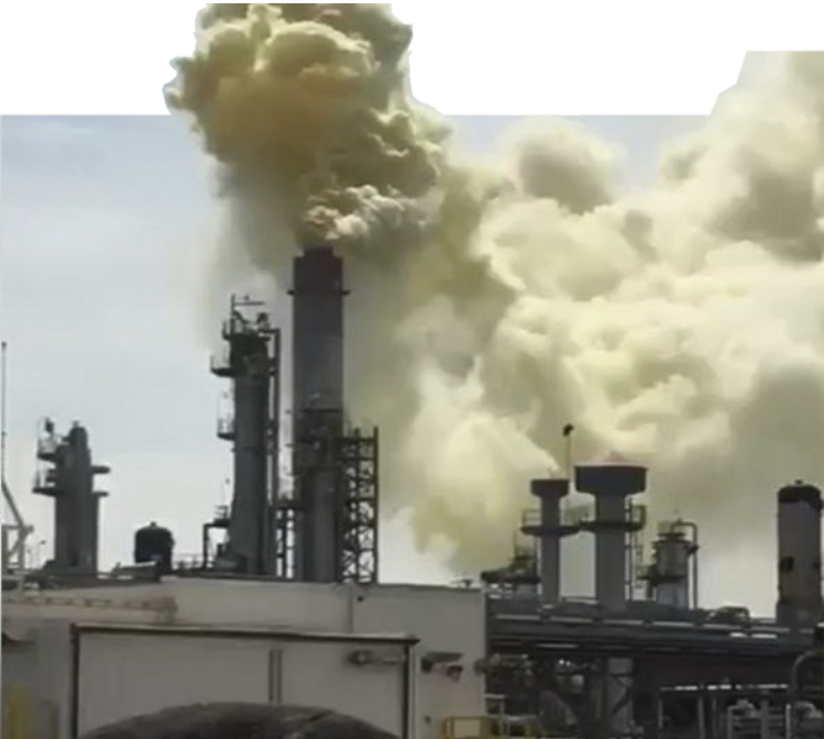 Табиғатқа қарсы тағылыққа жаңа Экологиялық кодекстің талабы тоқтам сала ма?