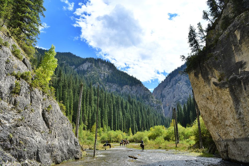 Қоршаған орта қамы қоғамға ортақ