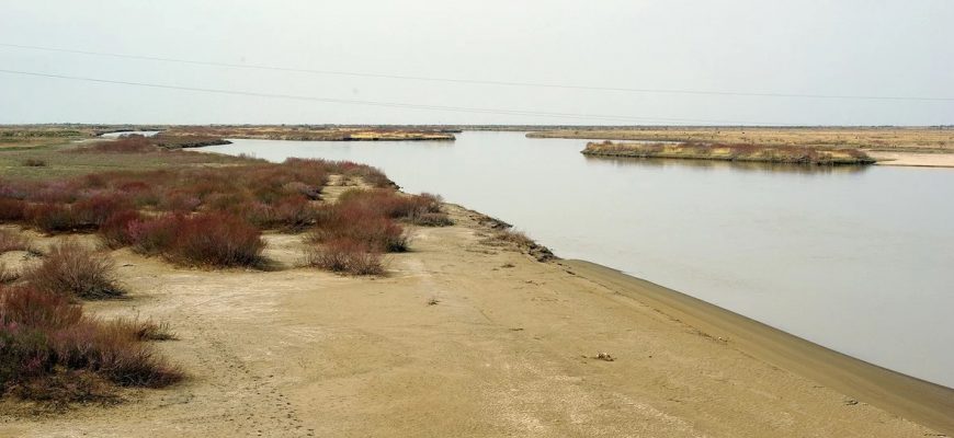 Сырдария биыл да сарқылып тұр