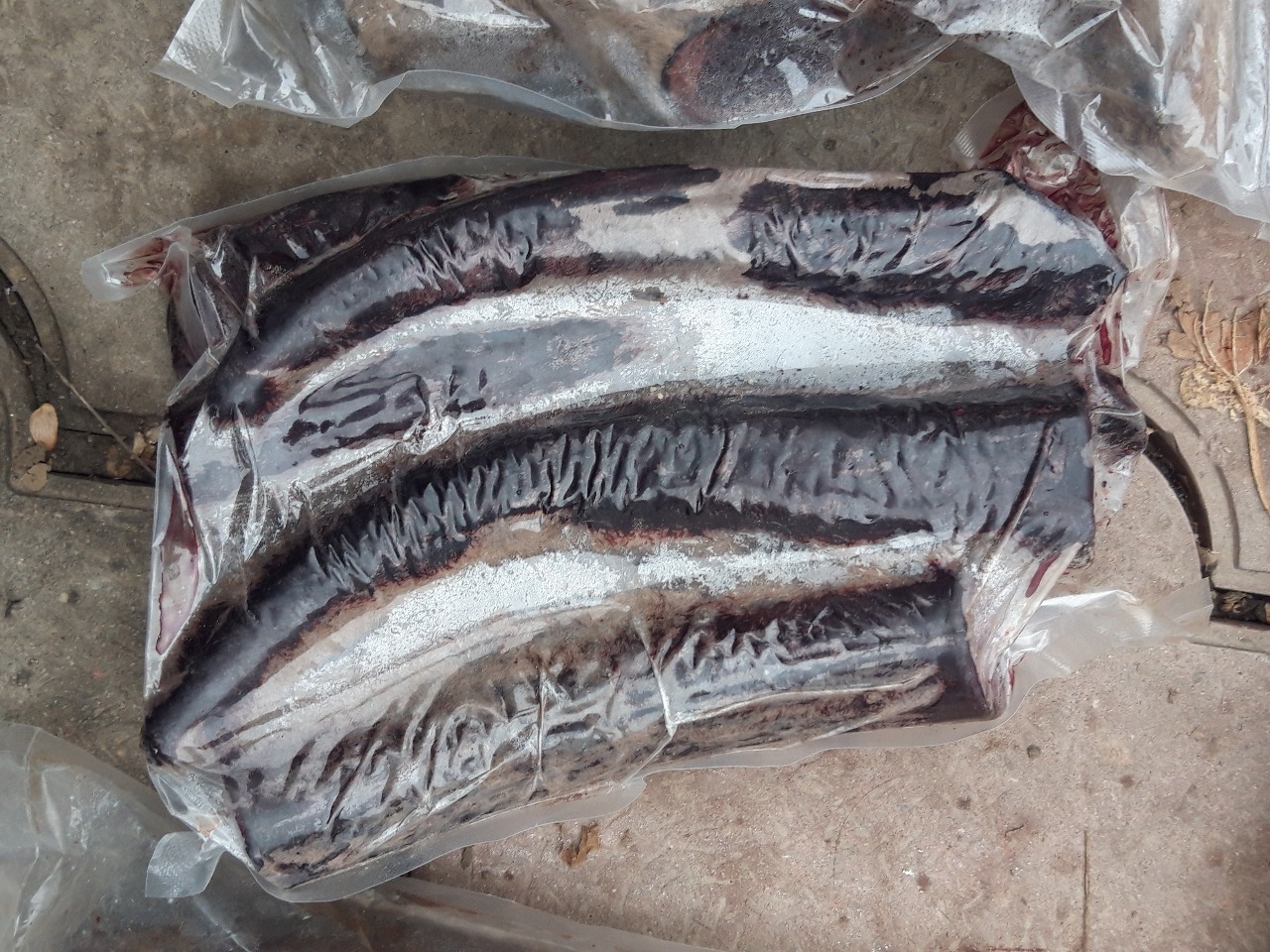 Бұғының мүйіздері ұрланған