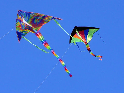 Батпырауық қуған жан