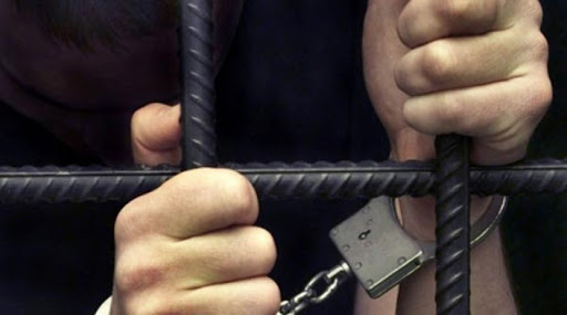 Ер адам көршісін өлтіріп, етін мысығына берген