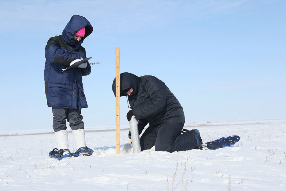 Қызыл судан қауіп бар