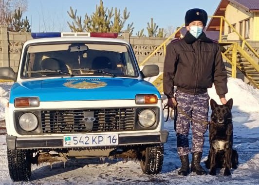 ШҚО-да 30-дан астам қылмыс иттердің көмегімен ашылды