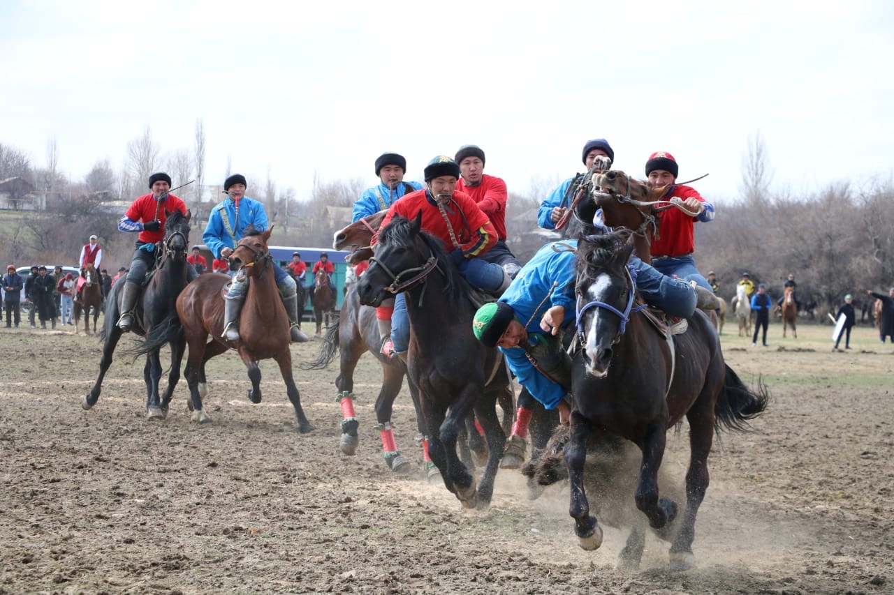 Түркістан облысында көкпардан өңір чемпионы анықталды