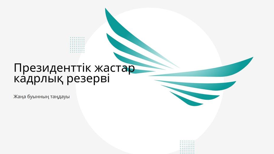 Президенттік жастар кадрлық резервіне екінші іріктеу өтеді