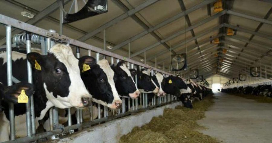 Аудан бюджетін арттырды