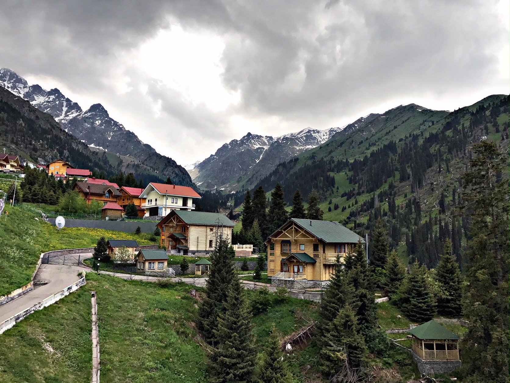 Шымбұлақтағы шыршалардың  баудай кесілгені рас па?