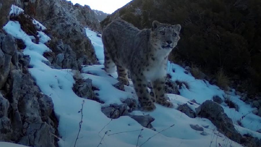 Барысымыз барда – намысымыз бар