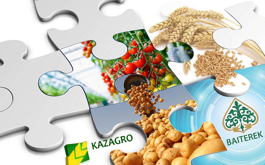 «Бәйтерек» агроөнеркәсіпке «ауыз салды»