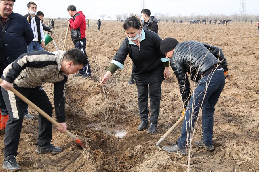 Жасыл желек жанға сая