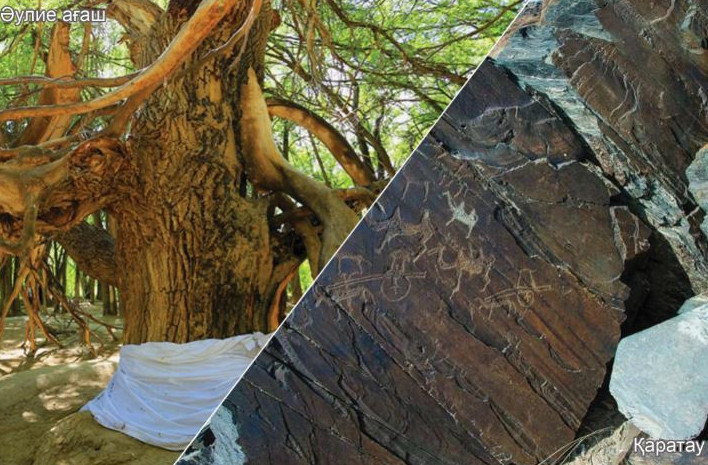 Жасыл желек – жанға дауа