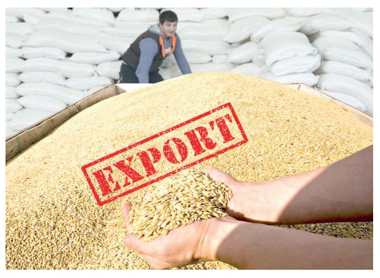 Экспорт әлеуетін арттыратын шешім