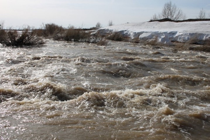 Жедел әрекет ету топтарының жұмысы пысықталды
