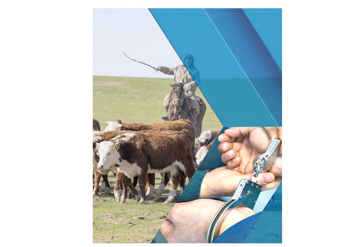 Қараусыз мал қолды болады