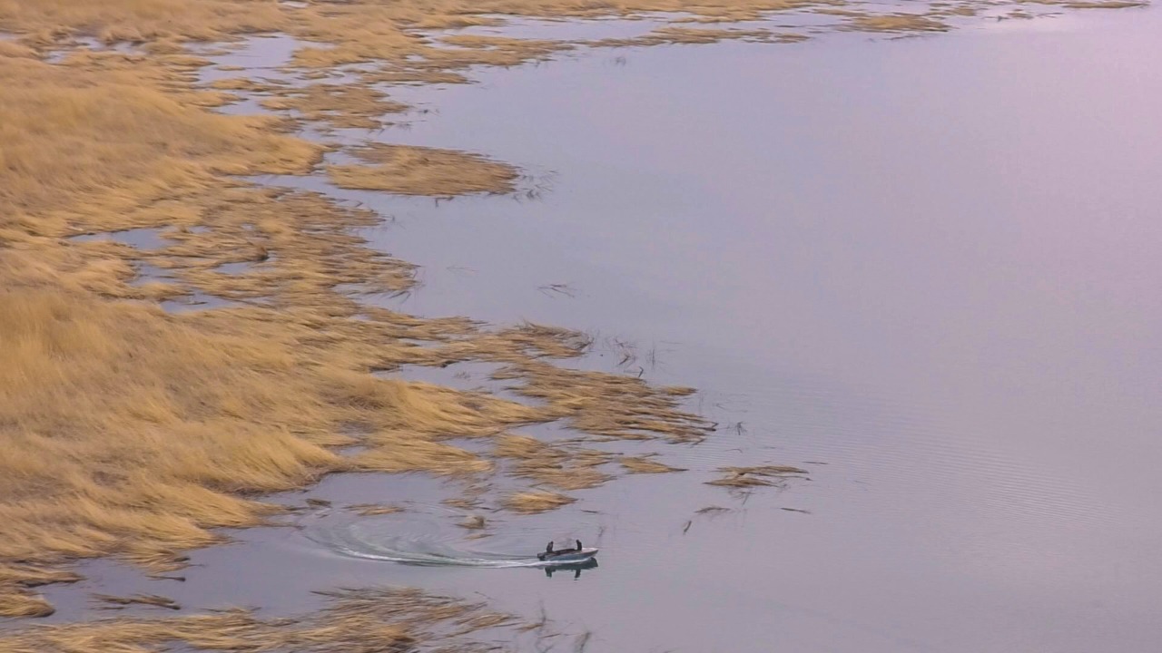 Шығыс Қазақстан: 70-ке жуық заң бұзушылық анықталды