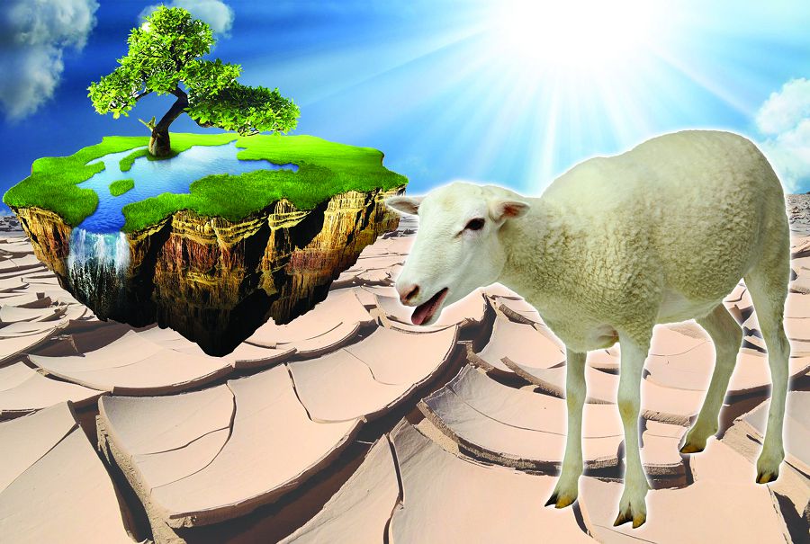 Малын бағар жайылымы жоқ шаруа қайтіп күн көрер?!