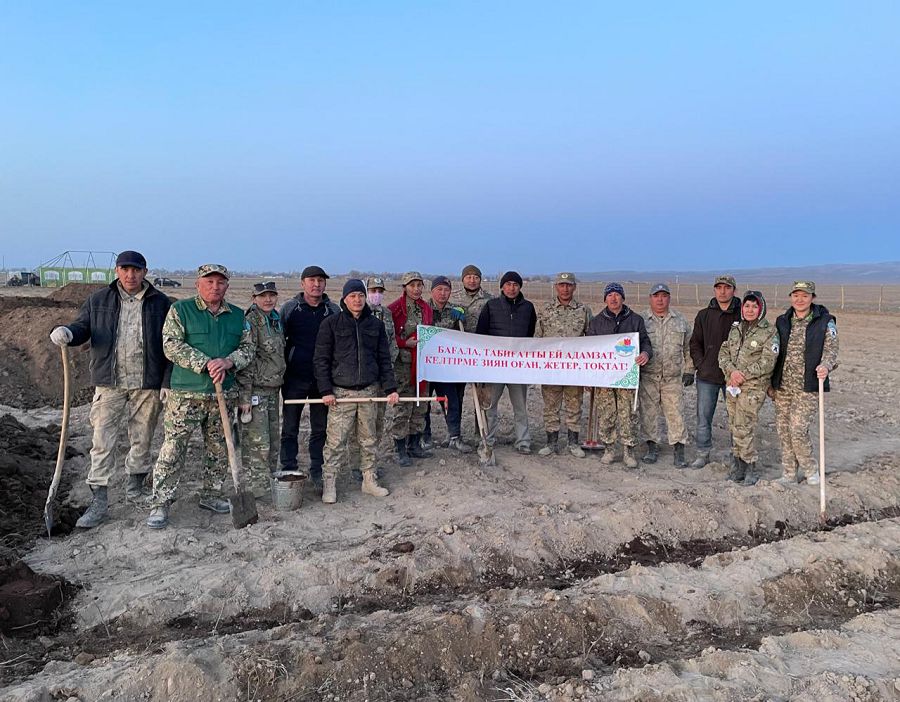 Тұқымбақтағы тындырымды іс