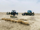 Қазақстанда Арал теңізінің құрғаған табанында сексеуіл егу бағдарламасы қабылданады