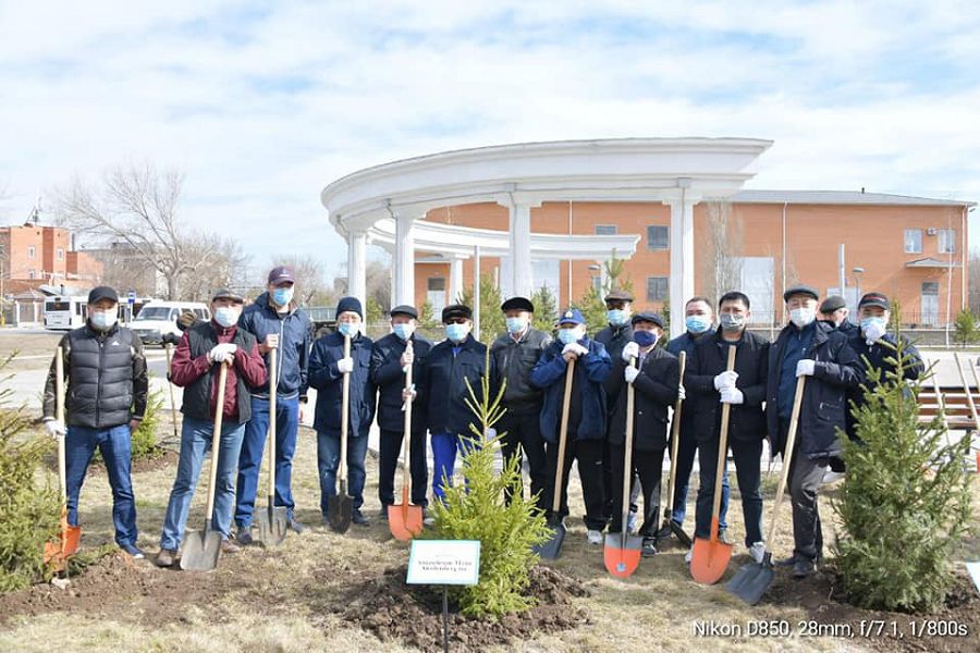 Әр қаламгердің ағашы бар