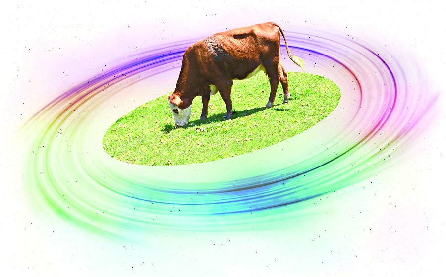 Жайылымның аздығы жанға батады